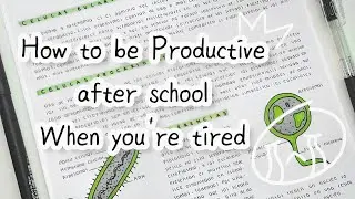 How to be productive after school when tired ✨😴 study tips
