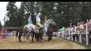 Pokazy konne Apolinarski Group | Boszkowo