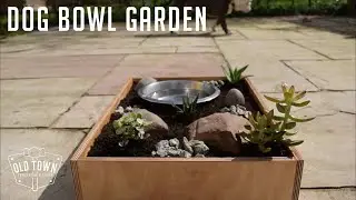 Dog Bowl Planter | A Garden For My Dogs Bowl | 