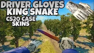 CS GO SKIN PACK DRIVER GLOVES "KING SNAKE" FOR CS 1.6 // HD CS:GO SKIN PACK FOR CS 1.6