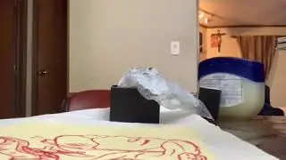 Big wasp tattoo machine worth it?