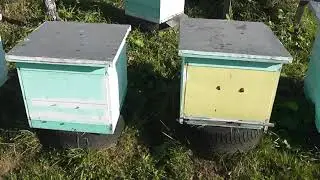 видео для себя