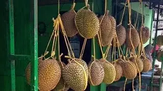 Belah durian Wonosobo yuk