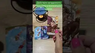 #таро #tarot #таролог