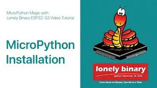 How to Install MicroPython on Lonely Binary ESP32-S3 in 5 Easy Steps