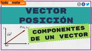 🤔📚 ¿Qué es el VECTOR POSICIÓN? | Componentes de un vector desde cero