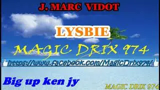J. MARC  VIDOT  -  LYSBIE 