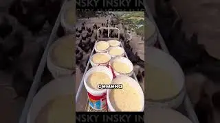 Когда мы догоним их?