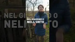 Terriccio GRATIS! Viva il compost