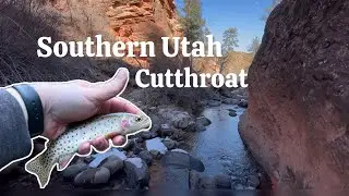 Southern Utah TENKARA FLY FISHING 