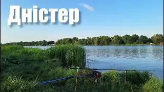 Дністер. Ловля сазана, сома, карася. Риболовля з ночівлею в наметі на березі річки. Готую на природі
