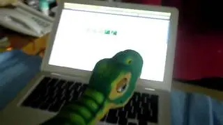 The Cute Pleo On The Computer!