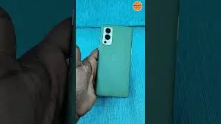 OnePlus Nord 2 5G (Green Woods, 12GBRAM, 256GB Storage) 