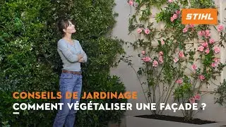Comment végétaliser une façade ? | Conseils de jardinage STIHL