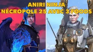 NECROPOLE 25 AVEC 3 FOODS ET ANIRI NINJA / Raid shadow legends fr