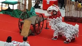 雪蘭莪公中校友會龍獅團  總扣 - 0.10 總得 - 8.60