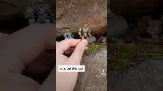 #halo