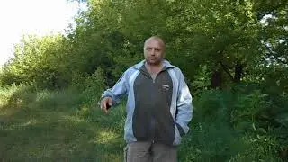 Встреча с лисой или волком