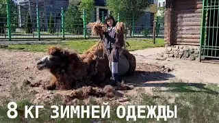 Снимаем 