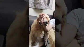 Emma gives dad a hand massage 😅