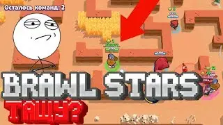 Играю в BRAWL STARS! ТАЩУ?
