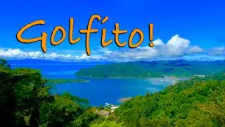 Discover Golfito's Hidden Gem: Tower Road Scenic Drive with Abundant Wildlife Costa Rica