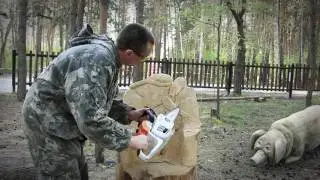 Chainsaw Carving Лето 2016