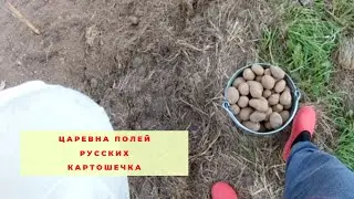мы ее закопали  ура