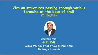 Foramina at base of skull   English