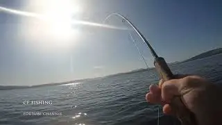 LLAIA Estuary Part 2 2023