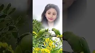 Iqra's AI generated picture #reels #iqra #ai #aigenerated #bestrels #viralvideo #reelsfb