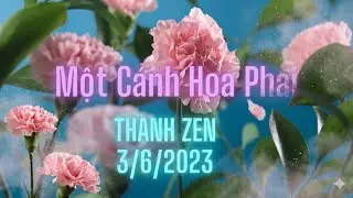 Một Cánh Hoa Phai - Thành Zen