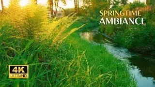 Springtime Soothing Sounds for Stress Relief, Concentration, Meditation | Relaxing Nature Sounds