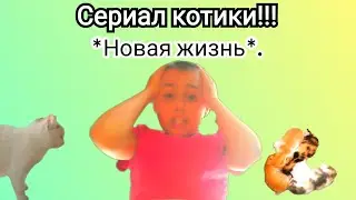 💥Сериал "котики". Серия 9. Новая жизнь!!!💥