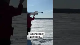 Тест «футажей небес 360»-2