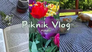 Picnic Vlog, Practical recipes for Picnic| Munzevi Vlog
