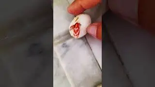 Si nasceeeee...