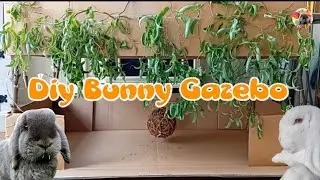 DIY cardboard rabbit house | I made a cardboard playhouse for my rabbits' birthday 🎂