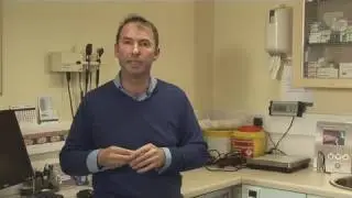 How To Recognize Signs Of Dog Pregnancy
