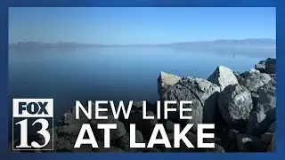 Great Salt Lake's resurgence may be starting