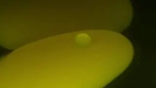 Macro Floating Lava lamp 48 minutes Relaxing backgrounds bubbles - Hintergründe zum Entspannen