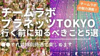 チームラボ プラネッツTOKYO 行く前に知っておくべき5選 え？VIP待遇で楽しめちゃうの!?【豊洲】
