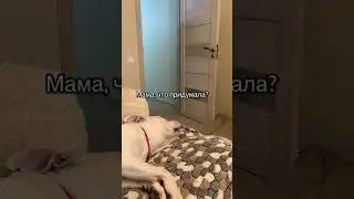 Эксперимент успешно провалился😂 