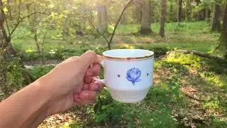 August blooms when summer ends 🌞 (copyright-free cello music)