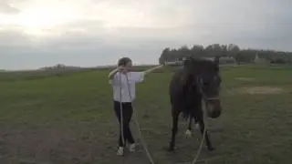 Maud sideways