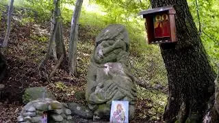 Богатствата на Бистрица