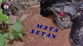 SEPERTI MATA SETAN