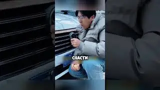 You won't believe why every driver needs potatoes 🤯😱