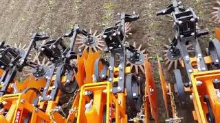Schmotzer Hackmaschine im Marchfelder Rübenacker im Mai 2017