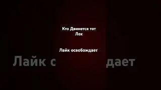 29 апреля 2024 г.